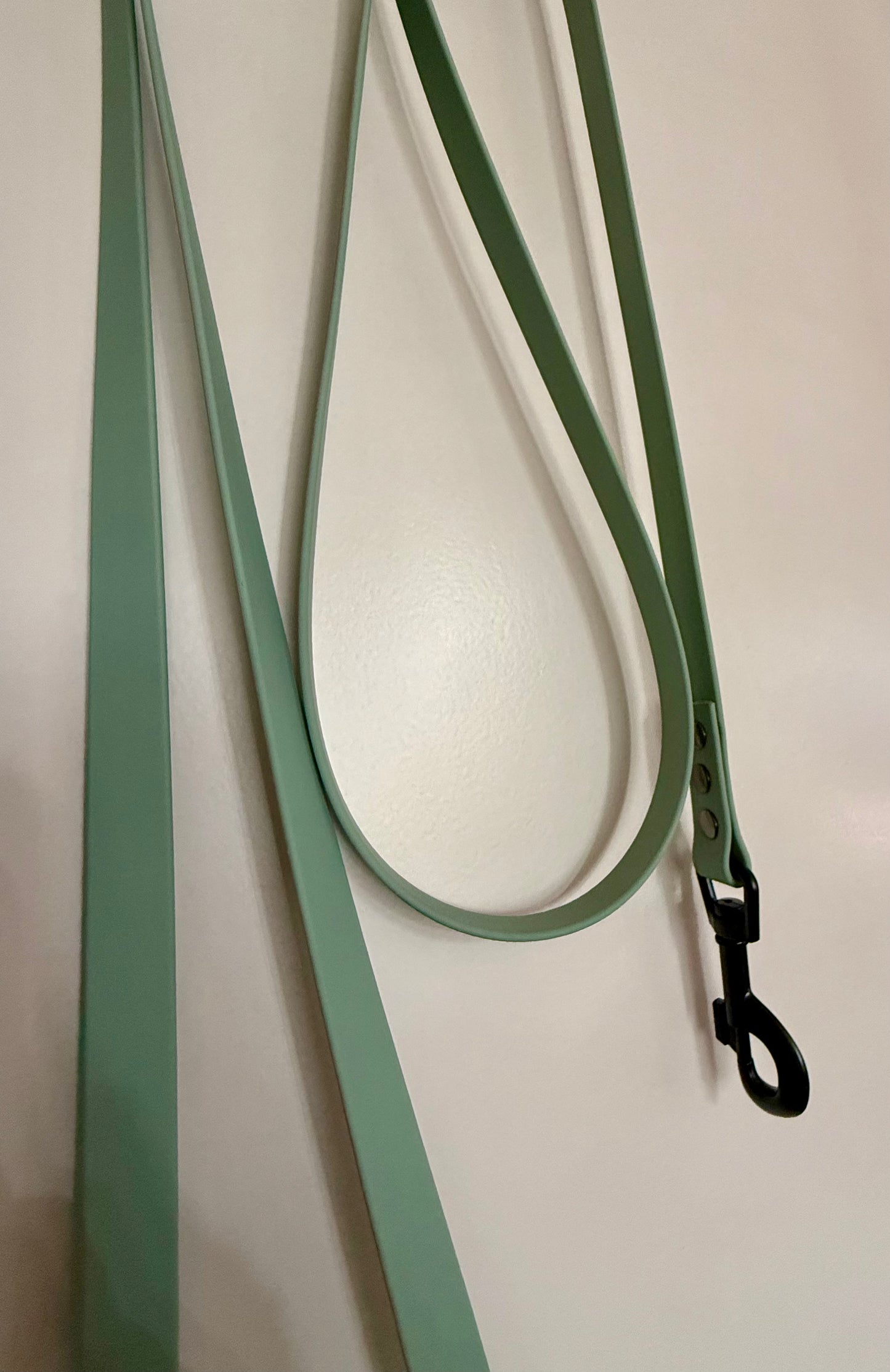 Longe en Biothane (à partir de 3 m) – Souple, résistante et modulable