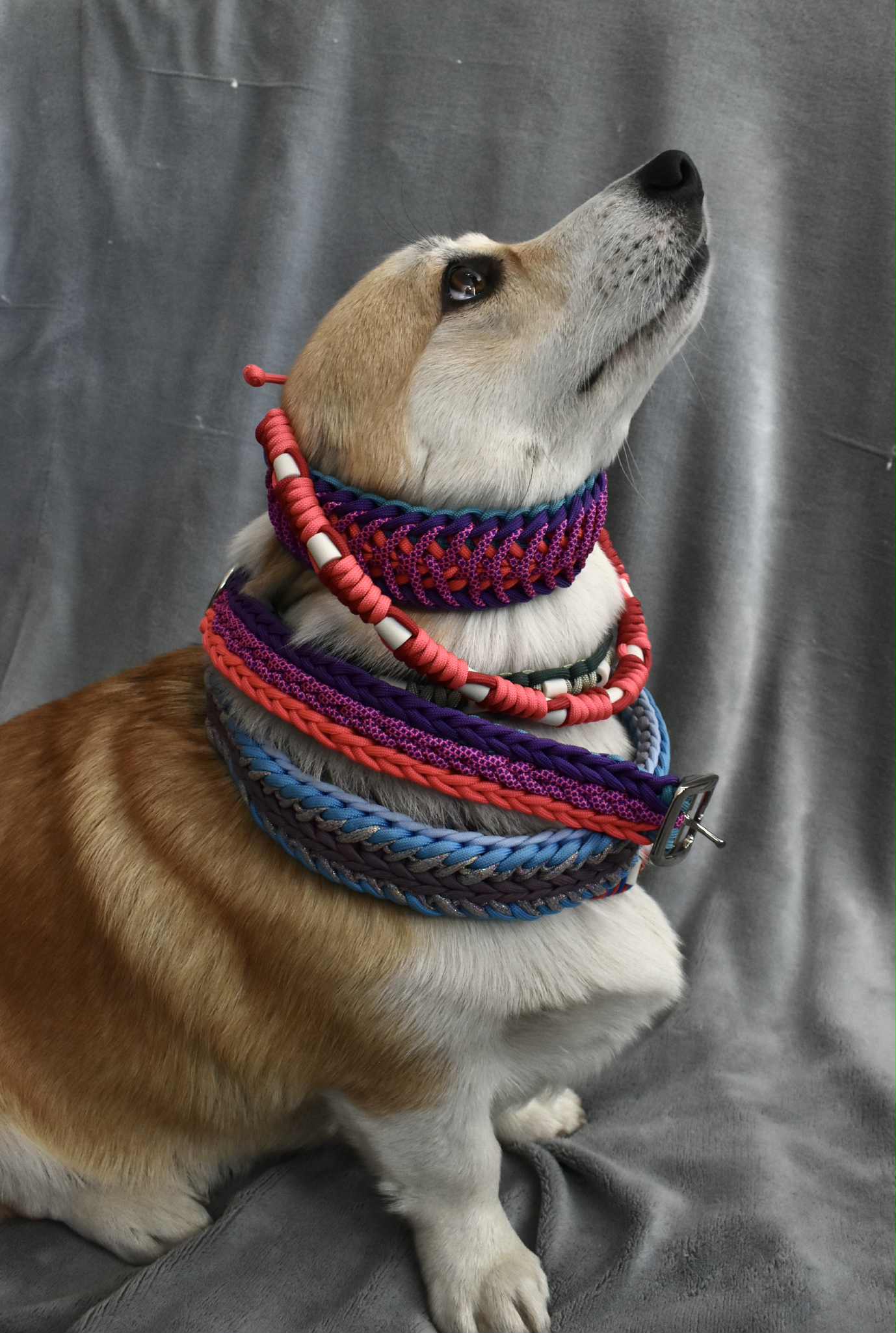 Collier tressé en paracorde avec sangle ajustable en Biothane – Résistant, personnalisable et stylé (M-L)