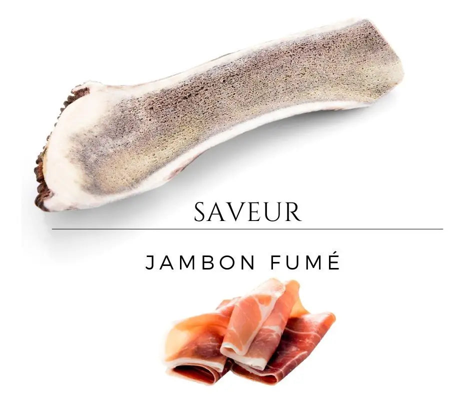 Bois de cerf pour chien tranché aromatisé L (≈ 12/15 CM) Chiens de 20 à 30 Kg /Jambon fumé