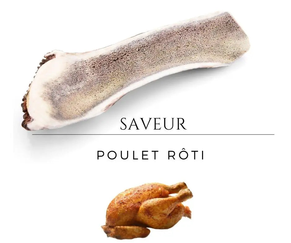 Bois de cerf pour chien tranché aromatisé M (≈ 11 CM) Chiens de 10 à 20 Kg /Poulet rôti