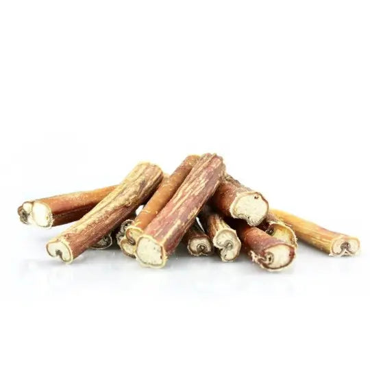 Nerf de boeuf pour chien - 20cm