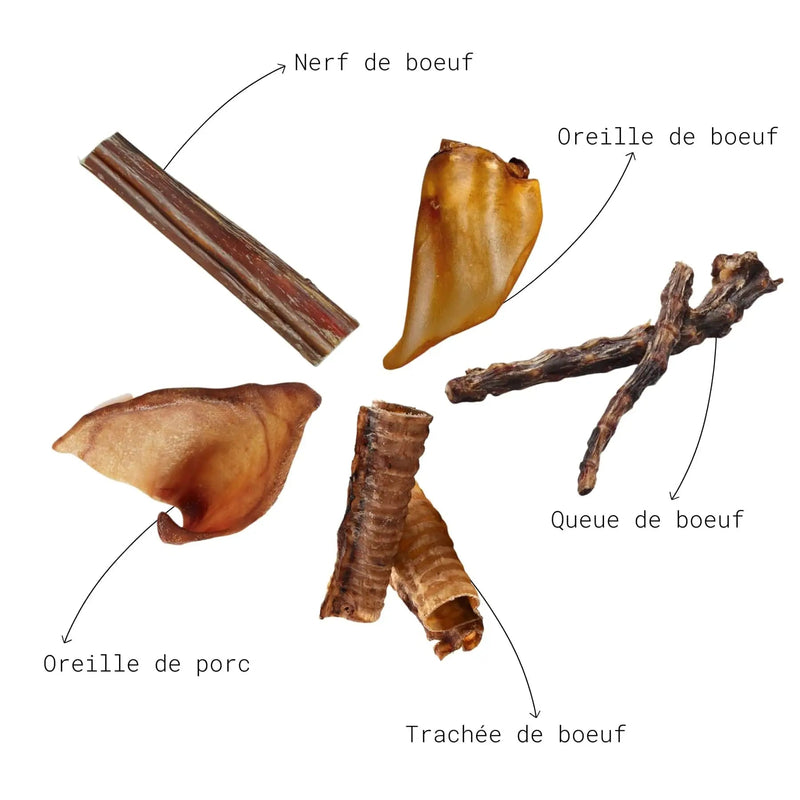 Box mix friandises séchées -Mastication super résistante (8 friandises différentes à mâcher)