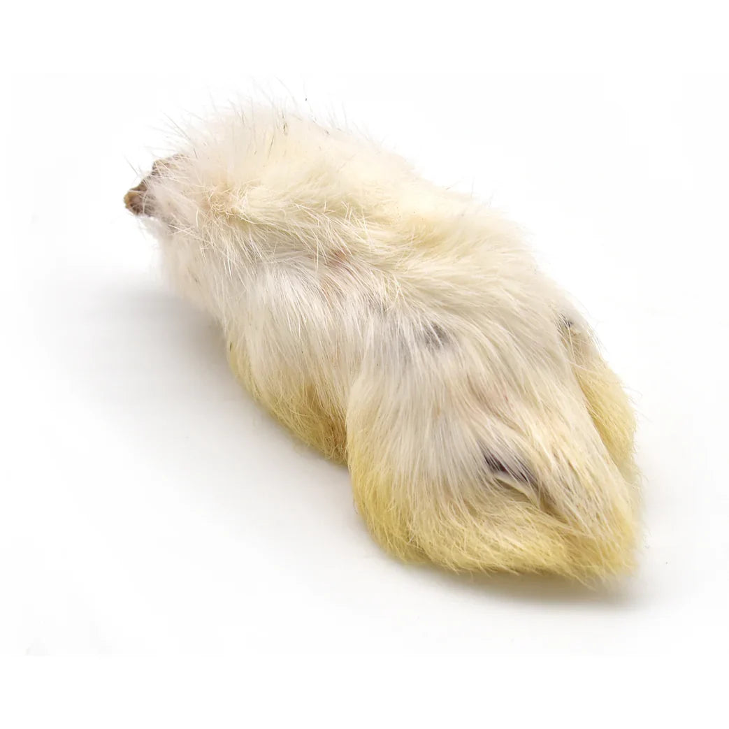 Pattes de lapin
