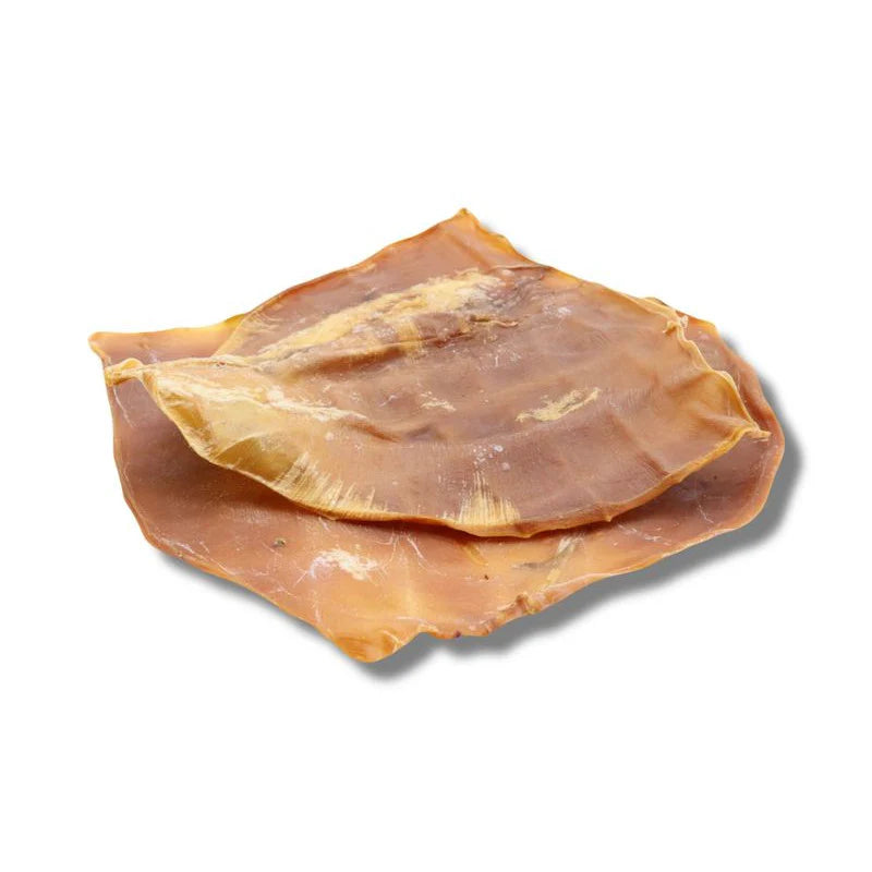 Calamar géant séché pour chien