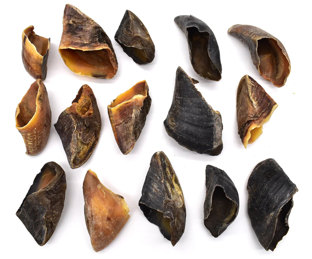 Sabots de veau normaux