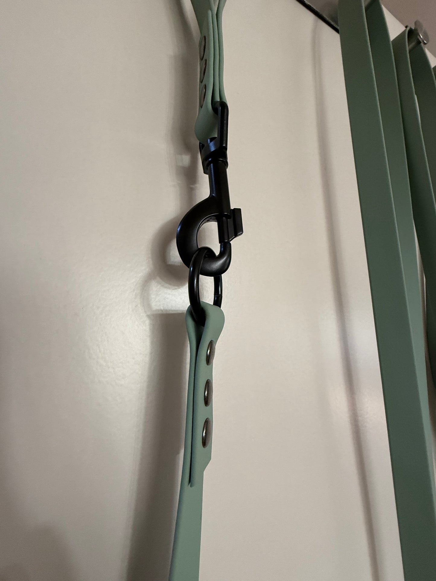 Longe en Biothane (à partir de 3 m) – Souple, résistante et modulable