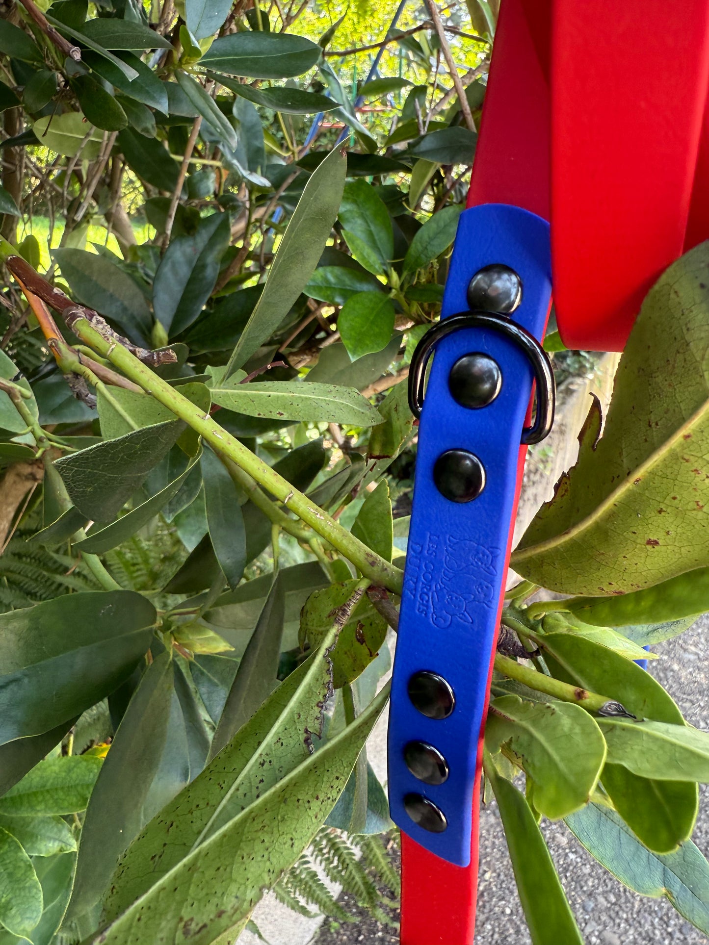 Laisse multi-position en Biothane – Polyvalente, résistante et stylée