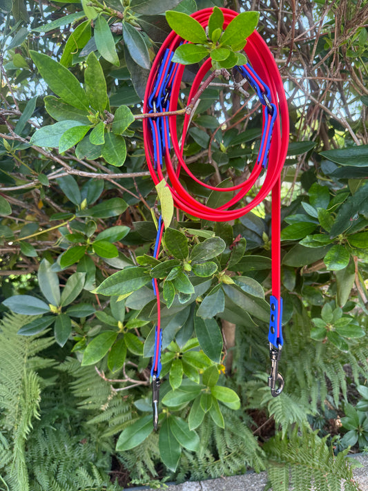 Laisse multi-position en Biothane – Polyvalente, résistante et stylée