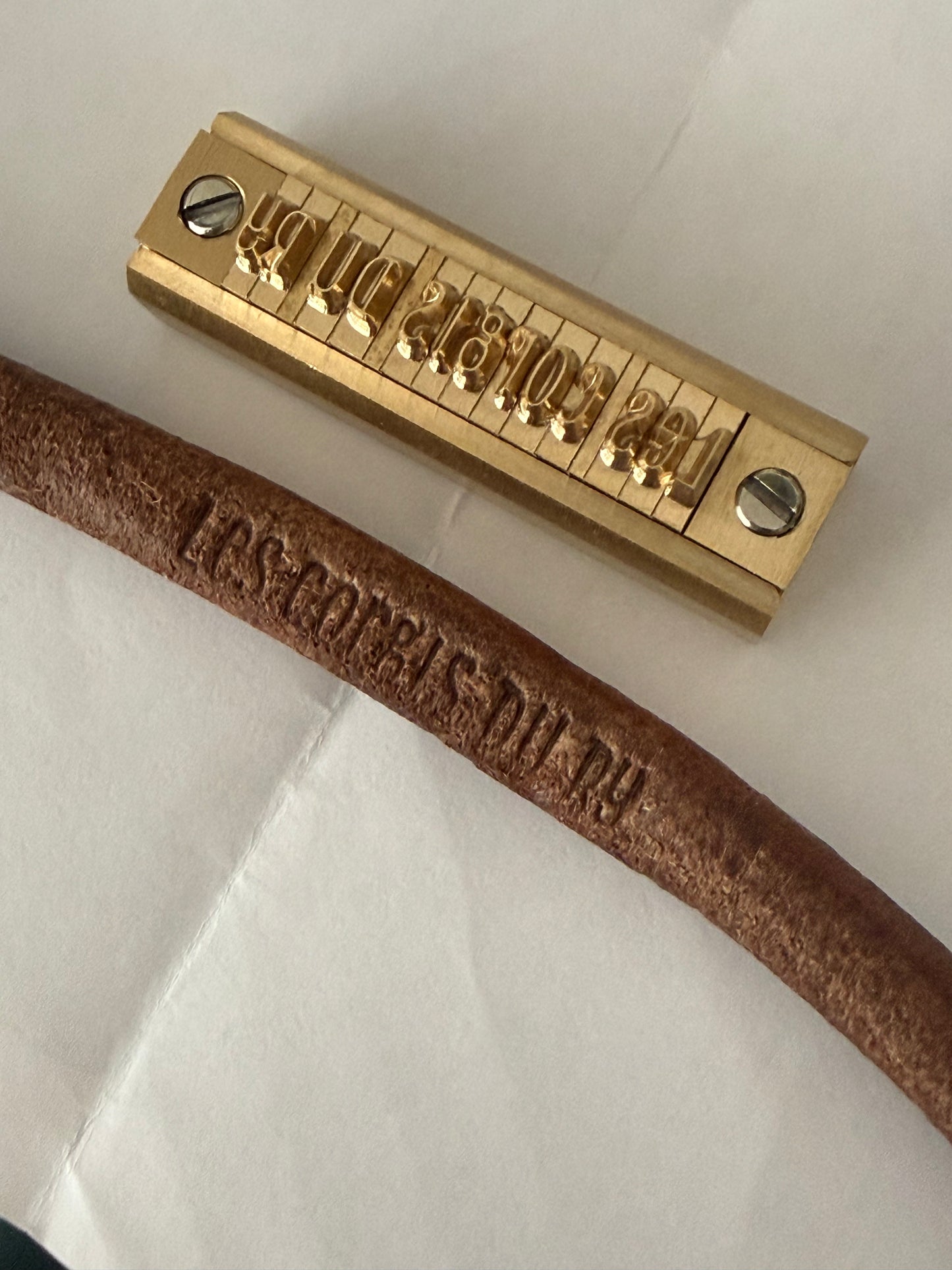 Longe en cuir pour mantrailing – Souplesse, précision et ressenti optimal