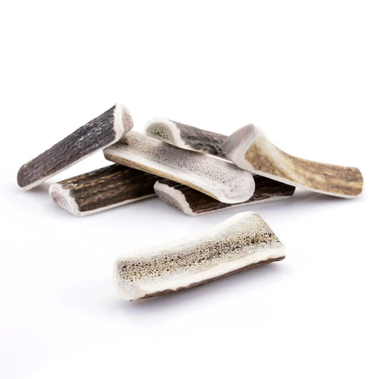 Bois de cerf pour chien tranché L (≈ 12/15 CM) Chiens de 20 à 30 Kg