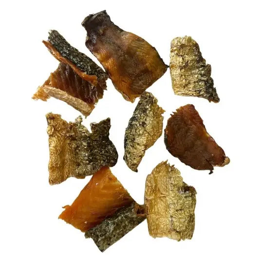 Morceau de peau de saumon pourchien et chat
