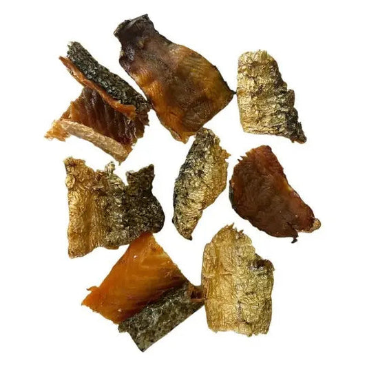 Morceau de peau de saumon pourchien et chat