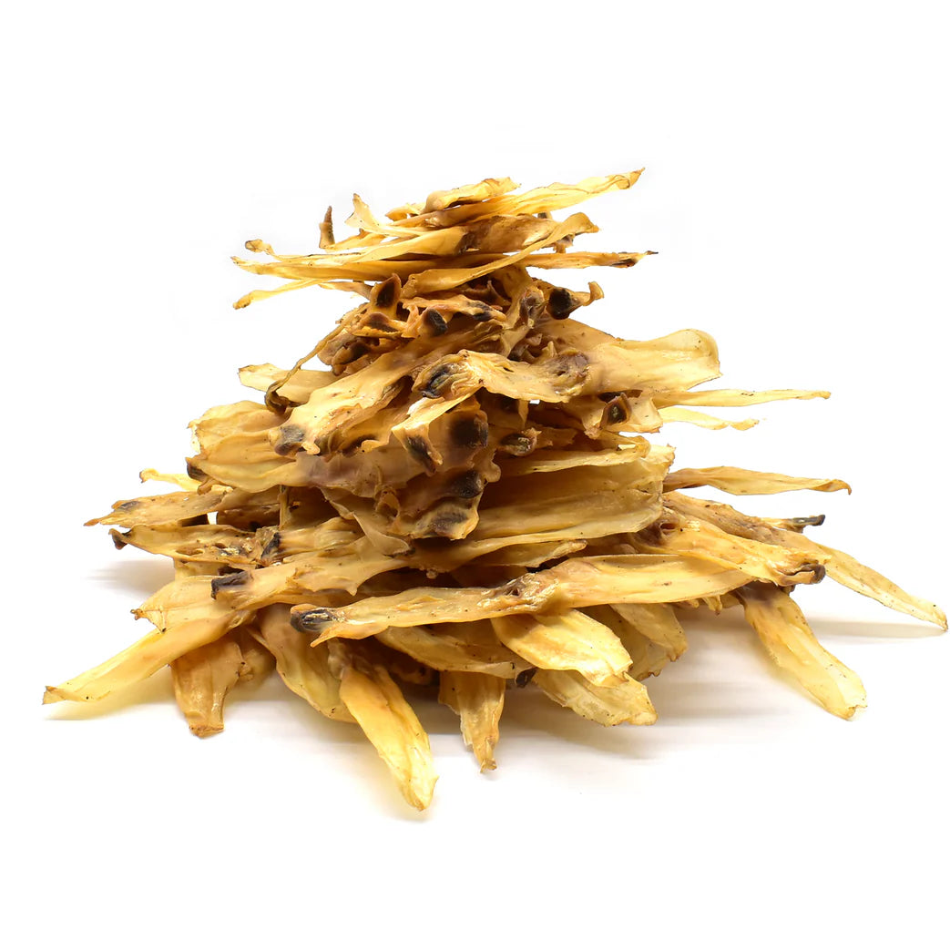 Oreille de lapin pour chien - sans poils