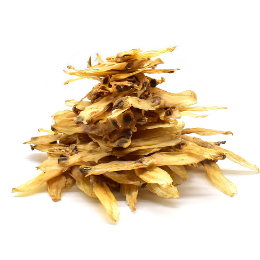 Oreille de lapin pour chien - sans poils