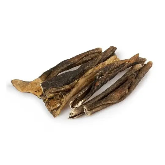 Peau de cerf pour chien